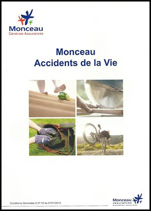 Monceau_Accidents_de_la_Vie